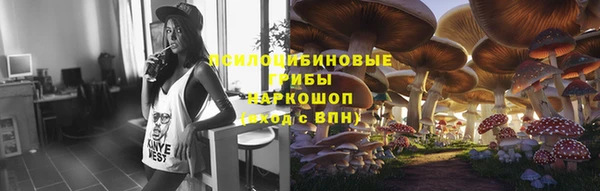 каннабис Богородицк