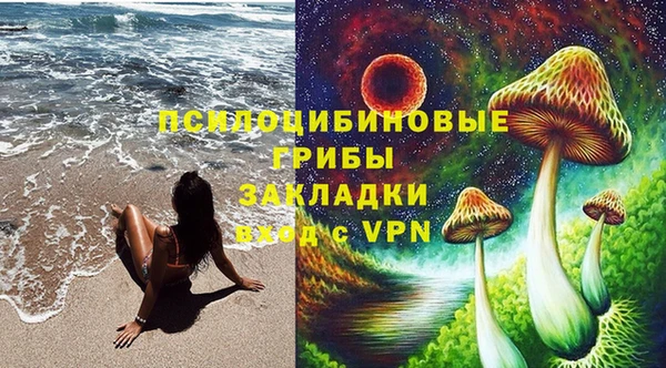 Альфа ПВП Богородск